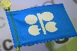 Kỳ vọng OPEC tiếp tục giảm sản lượng, dầu tăng giá 5 phiên liên tiếp